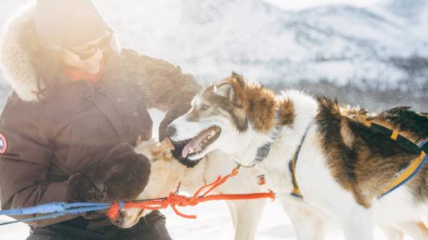 A woman in a hat and black parka pets two multi-coloured sled dogs 