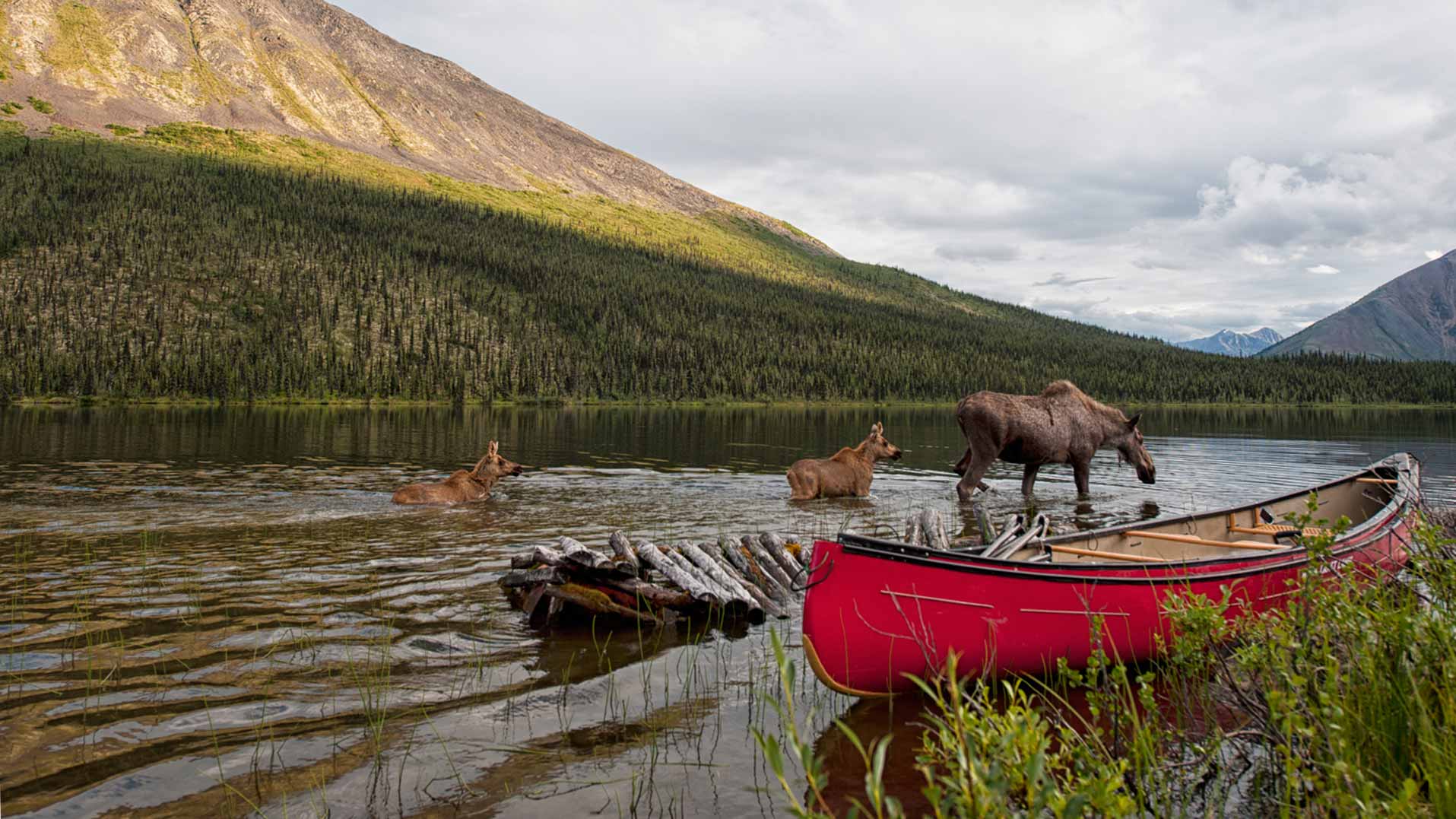 yukon territory trip