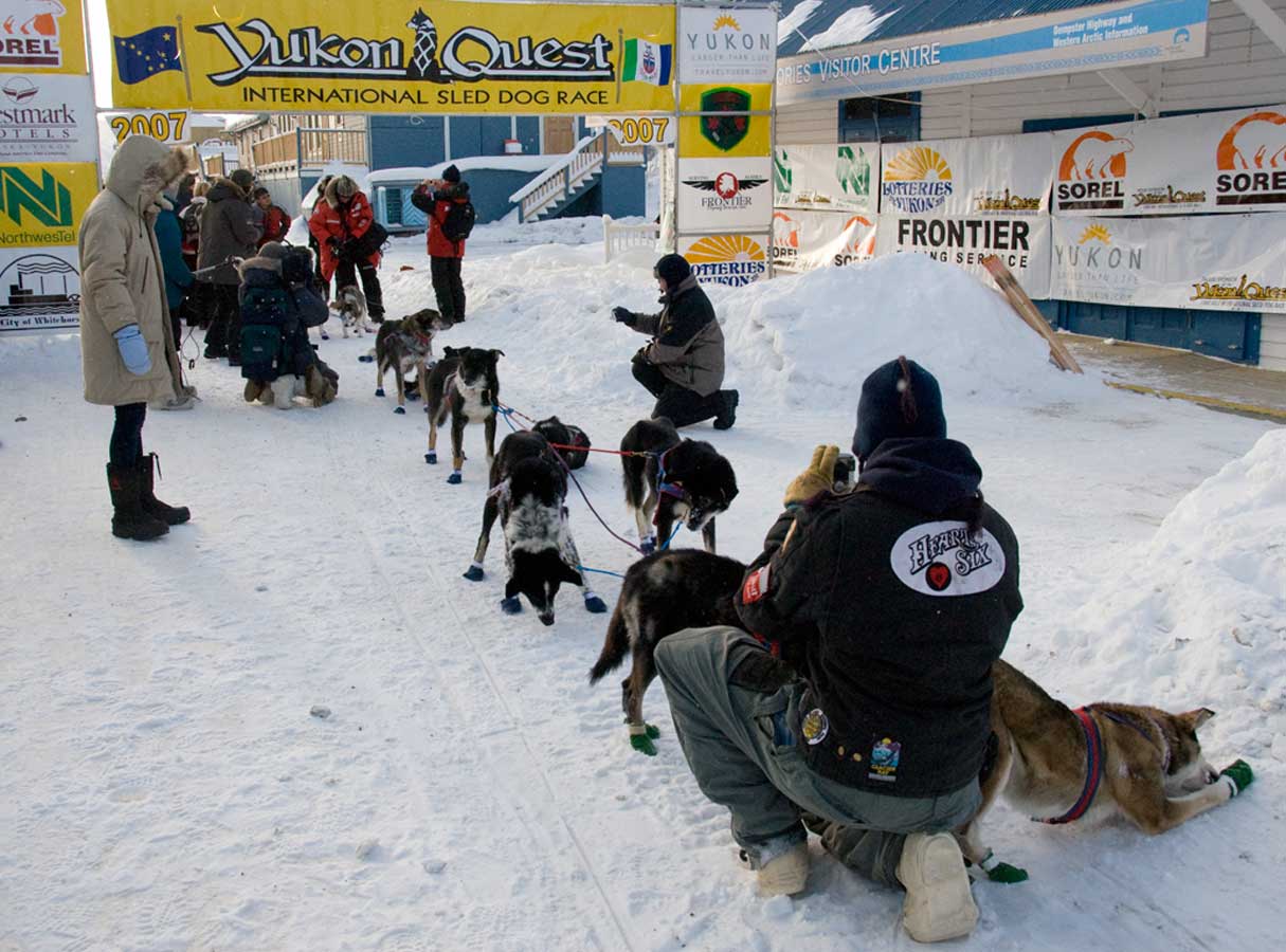 2011 Yukon Quest lapel Pin Dog Sled Race Whitehorse yukon to Fairbanks Alaska 