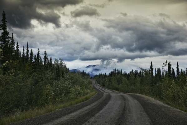 Silver Trail