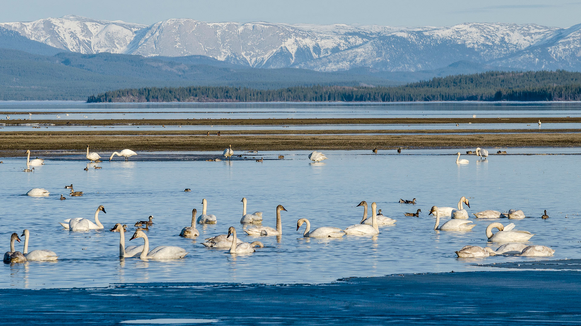 Marsh Lake Travel Yukon Yukon, Canada Official Tourism site