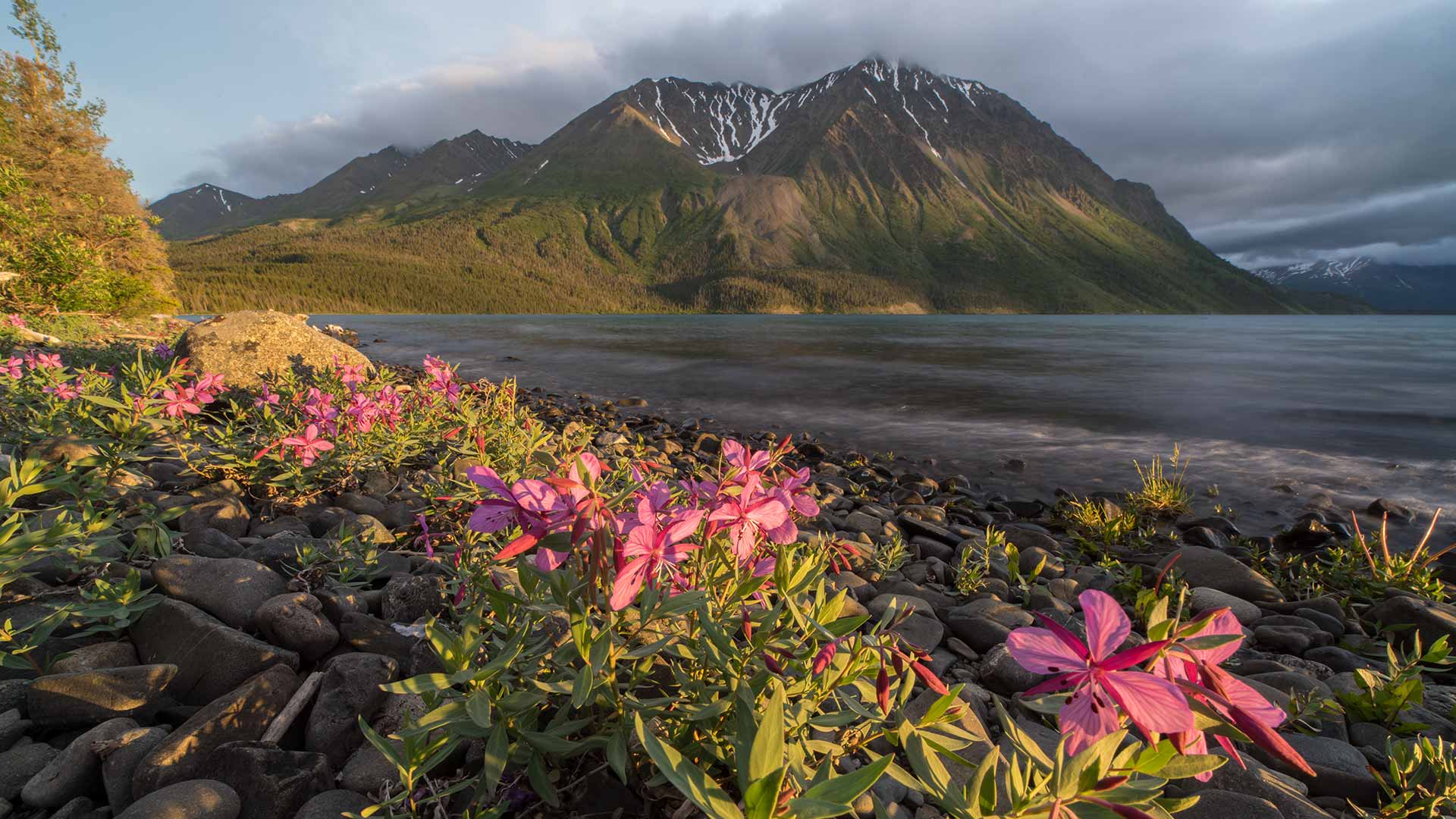 visit yukon in summer