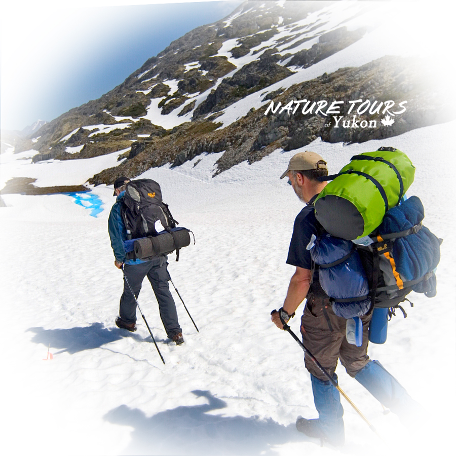 all inclusive backpacking trips