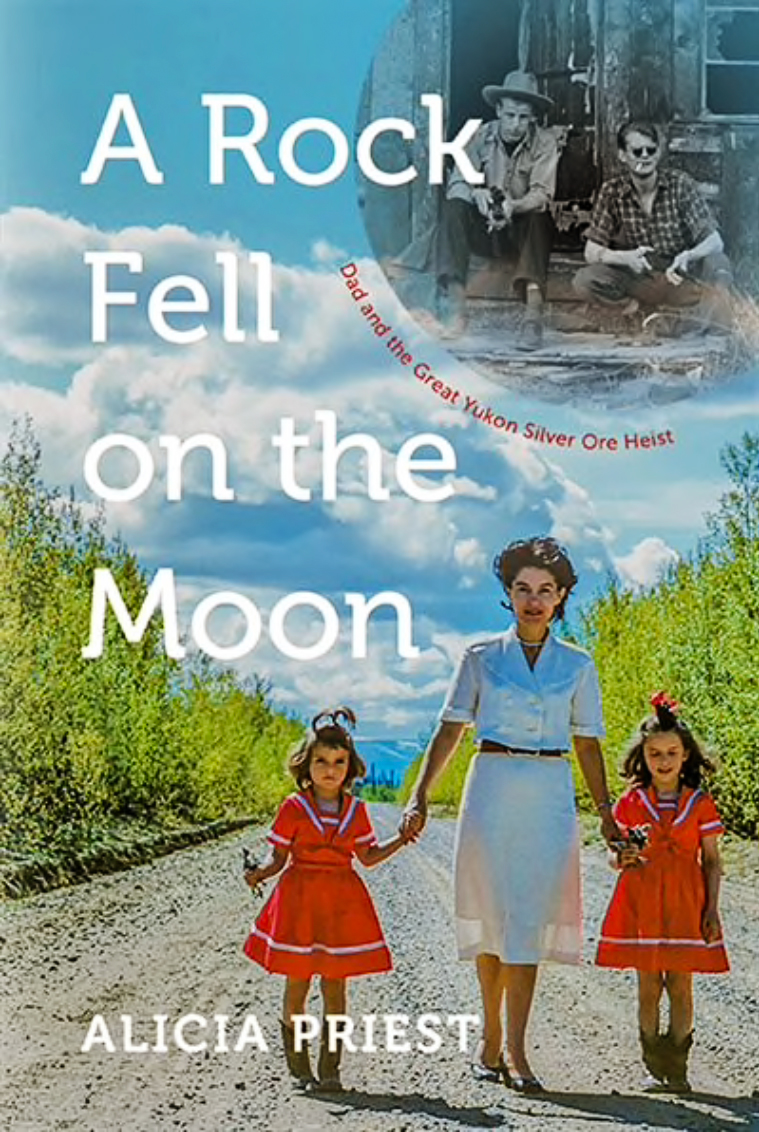 A Rock Fell on the Moon Book Cover