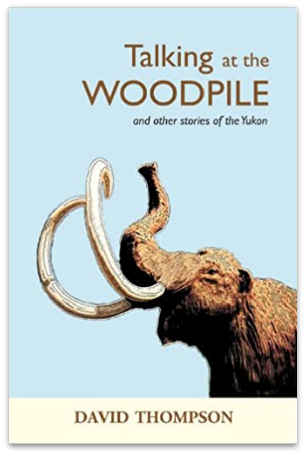 Talking to the Woodpile Cover Image