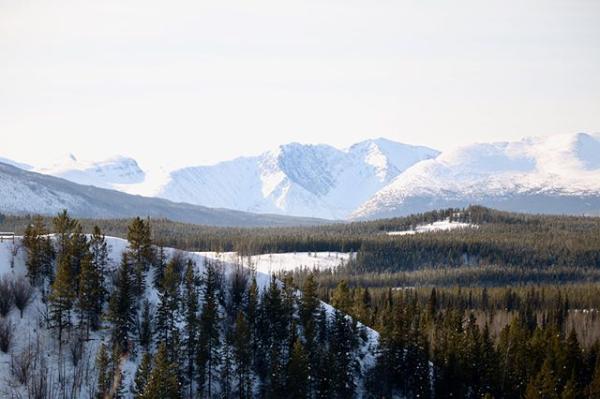 A view from the upper trail off of Gunnar Nilsson and Mickey Lammers Research Forest