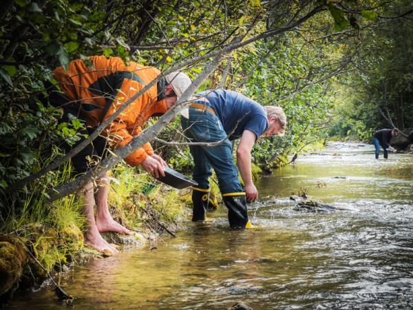 Klondikie-gold-rush-gold-panning.jpg