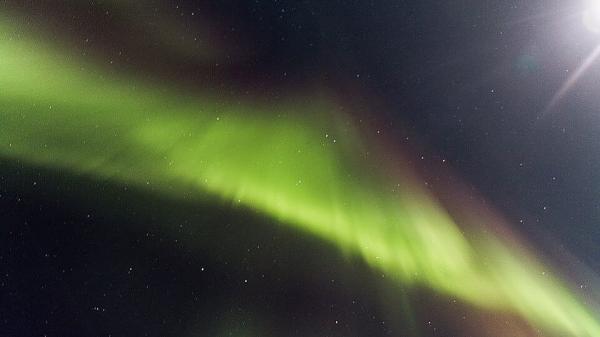 Overnight dog sledding tour