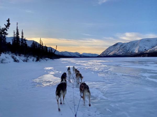 Mushing accros frozen lakes 