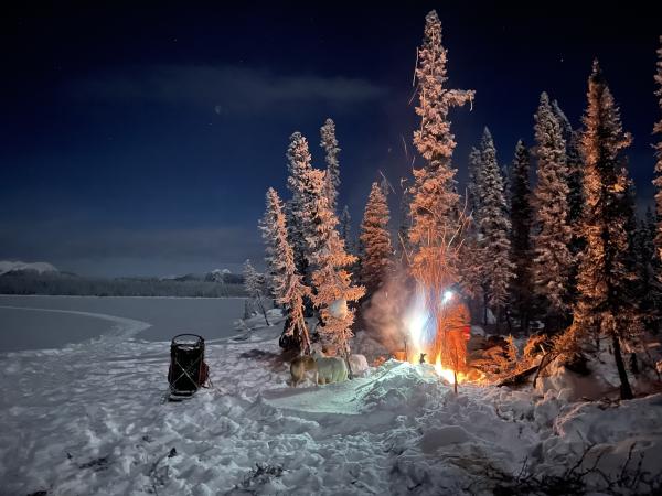 Nomadic winter life