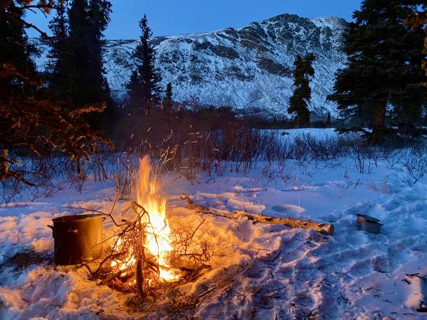 Preparing soup for the dogs 