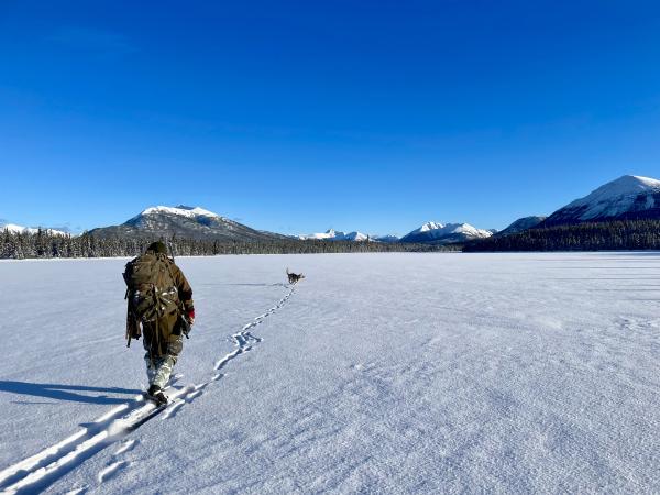 Skiing into the vastness of the Yukon