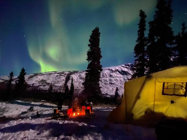 Camping under the northern lights 