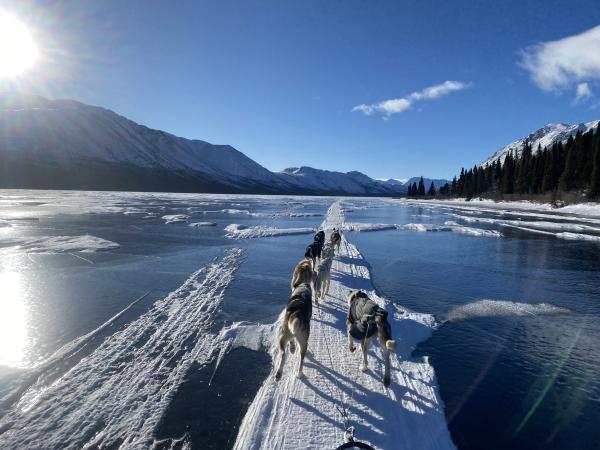 Mushing accros Frozen lake 