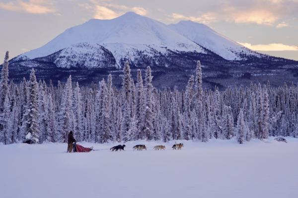 Mushing on frozen lake 