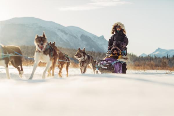Dogsledding