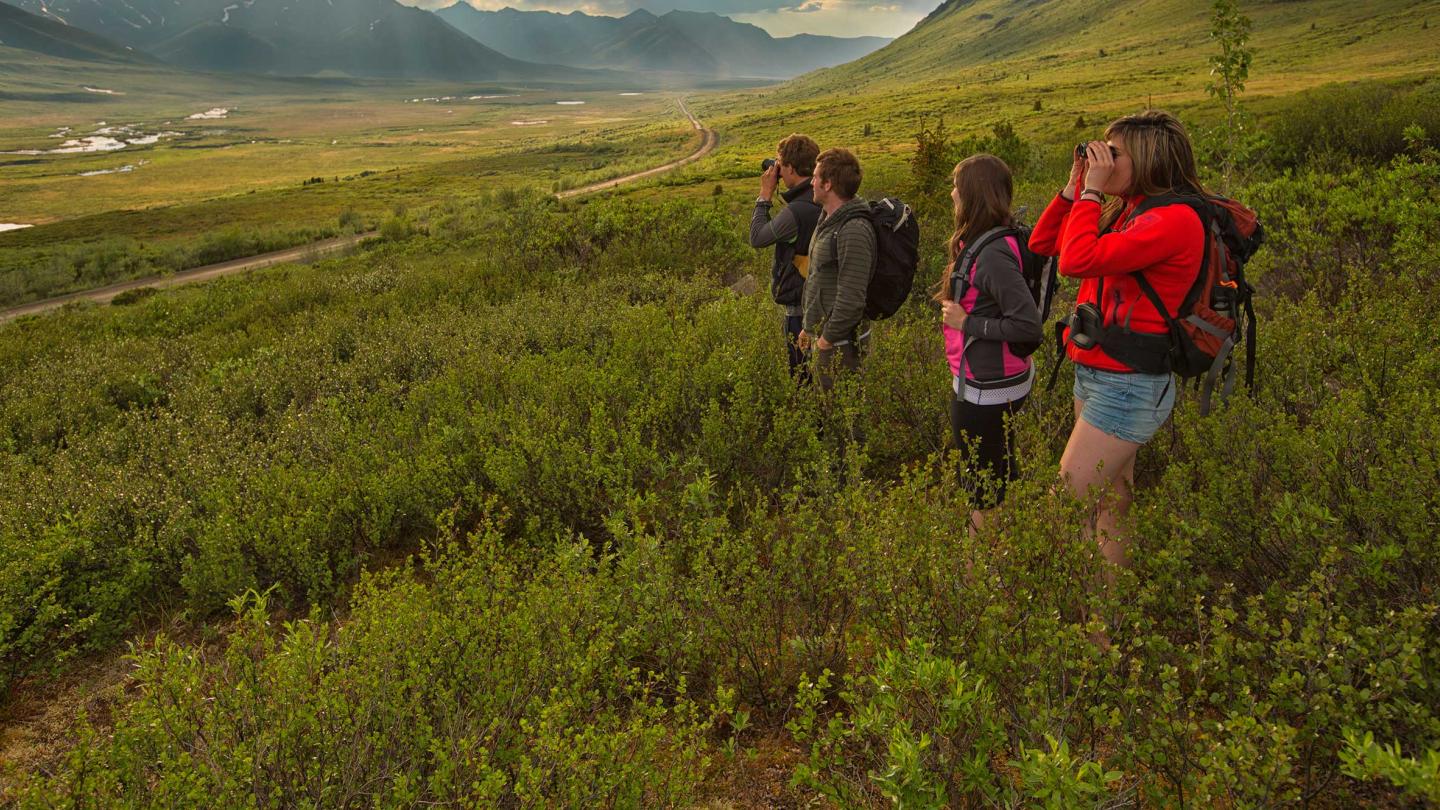Tombstone Territorial Park Travel Yukon Yukon, Canada Official