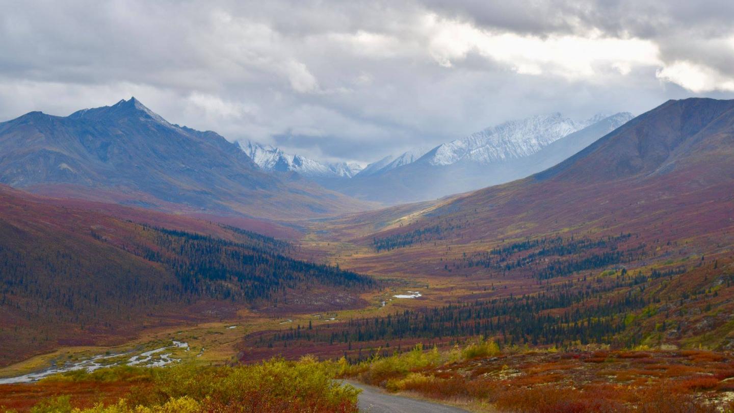 Tombstone Hiking Travel Yukon Yukon Canada Official Tourism