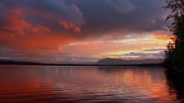 The midnight sun shines warmly over a Yukon lake