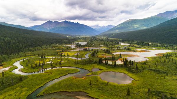 Teslin Tlingit Council