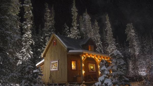 Cabin Cricket Sound