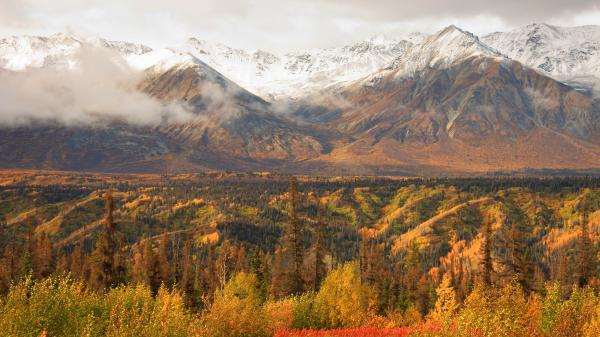 Fall colours surround a mountain range capped with fresh snow