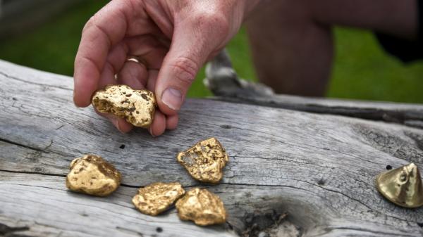 three nuggest of gold are placed on a log 