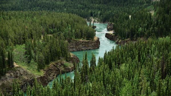 teal water courses through cliffside canyons