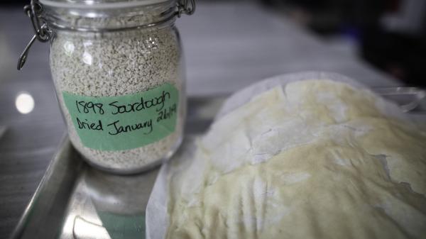 A jar of sourdough starter sits next to a loaf that has been left to rise. 