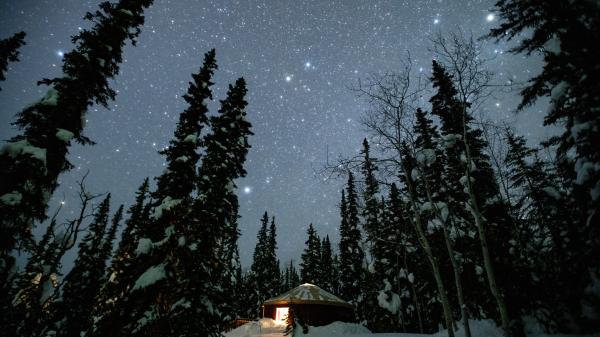 Stars shine over tall, skinny trees and a cabin glows in the distance