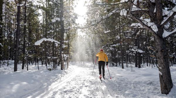 A person cross-country skis in Whitehorse
