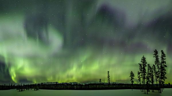 vibrant green northern lights dance in night sky
