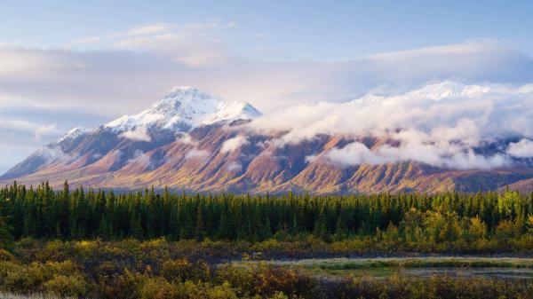 Mountains awash in the pink glow of a sunset sit nestled among bright green evergreen trees. 