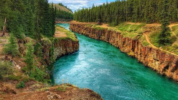 Teal water flows through a canyon lined with evergreen trees