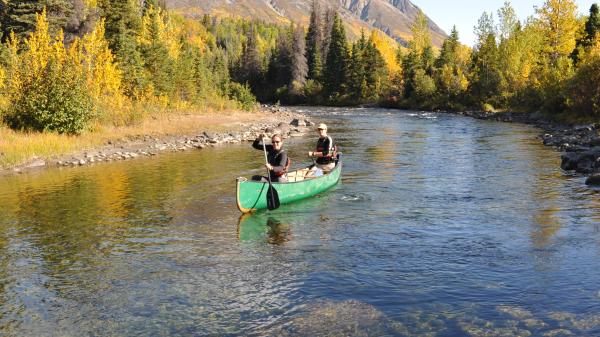 Woman and man paddling in a green canoe on a calm river