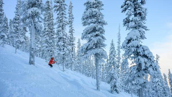 Downhill skiing in fresh powder at Mount Sima
