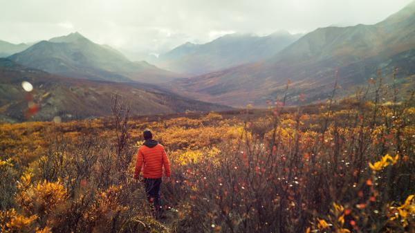 Fall-Hiking-Yukon