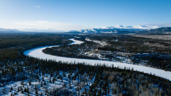 Snow Dusted Whitehorse