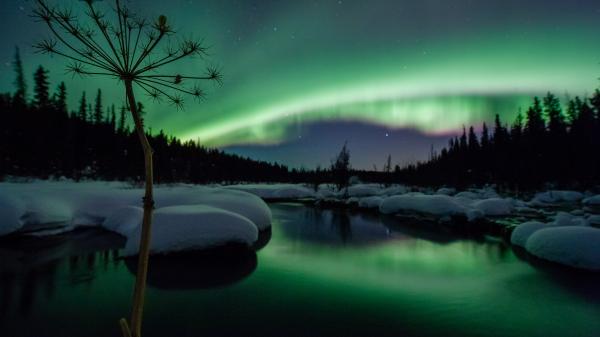 Northern Lights over McIntyre Creek near Whitehorse