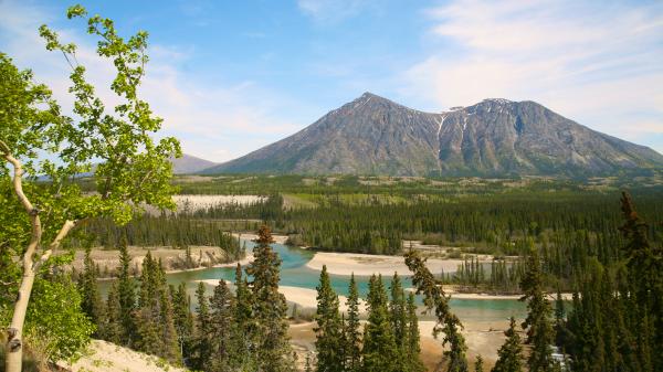 Mount Vanier and the upper Takhini River valley in Kusawa Territorial Park.