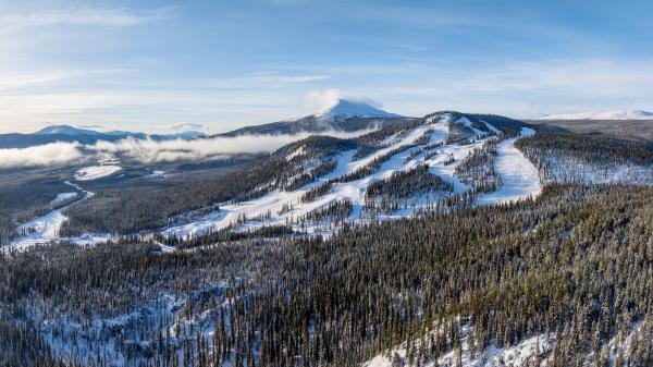 Snow covered landscape