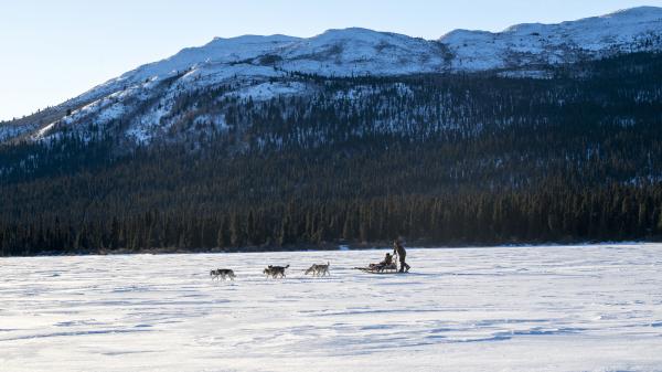 dog sledding on a frozen lake in the Yukon.