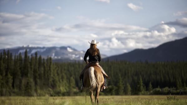 A person rides a horse in the Yukon