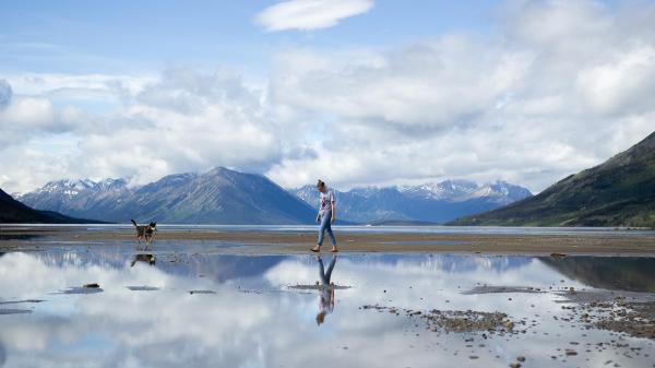 A person and their dog walk along a shoreline