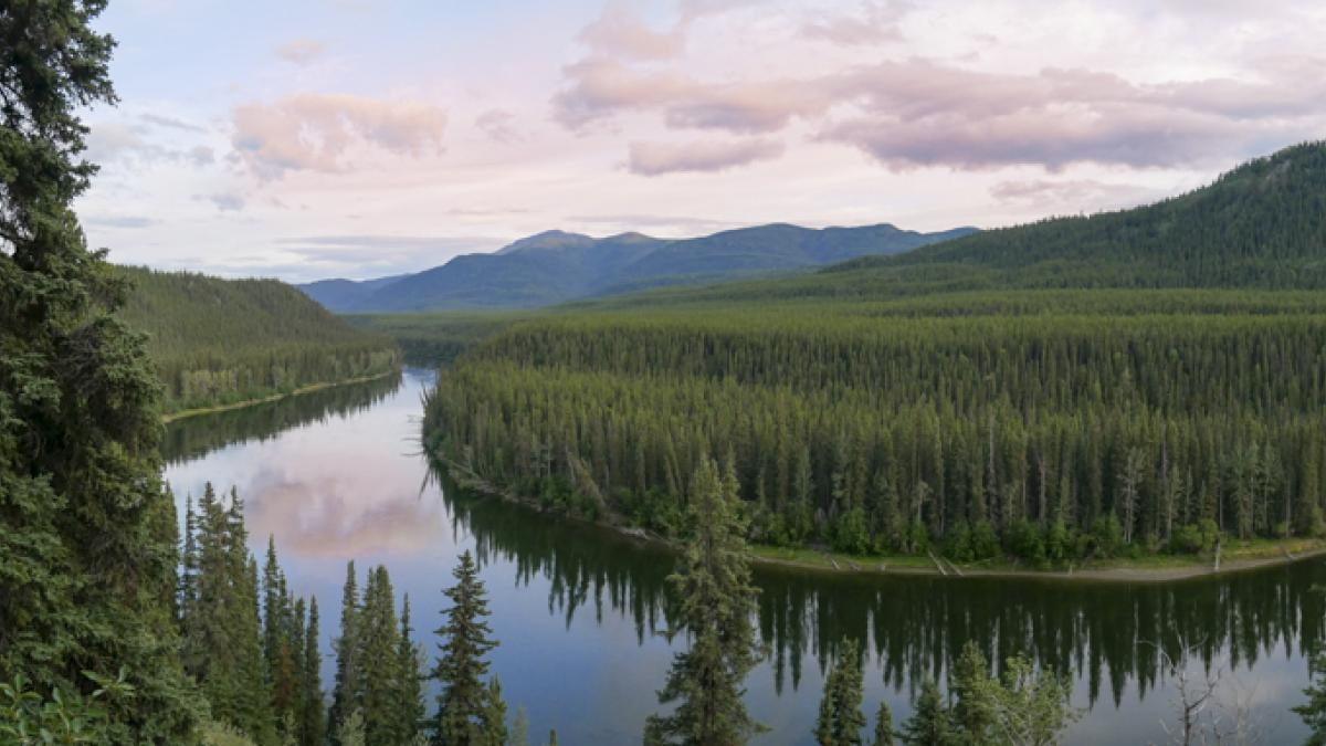 Teslin - Marina