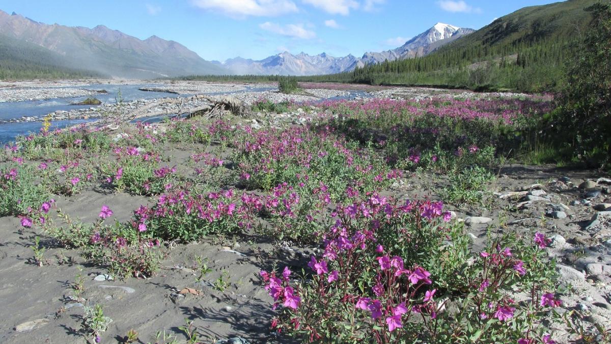 Kluane Energy Gas Station