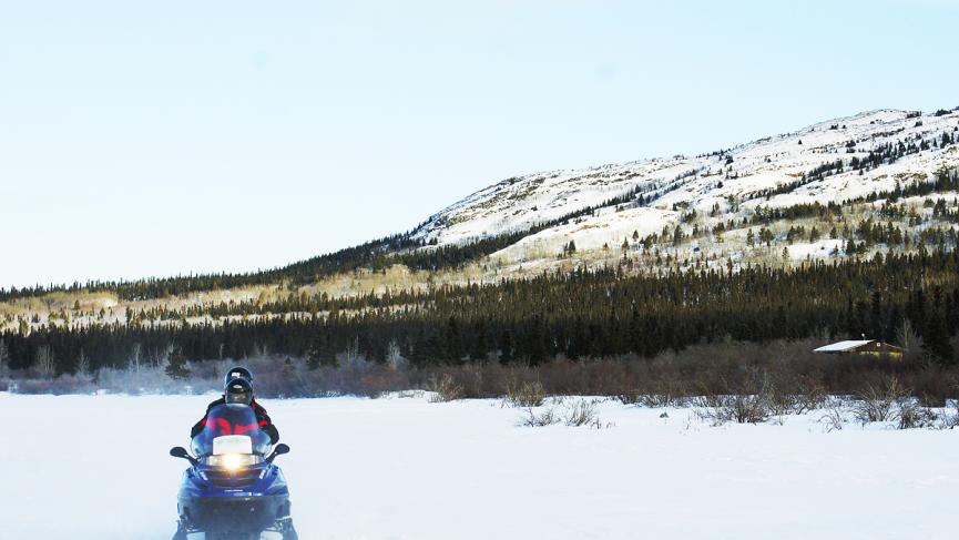 ara-adsm-20130206-040702_0527-1200.jpg