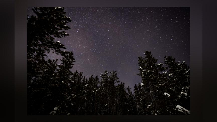 PhotoEditor_201949181951176.jpg