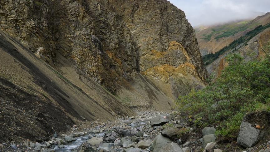 DSC06817 - carré.JPG