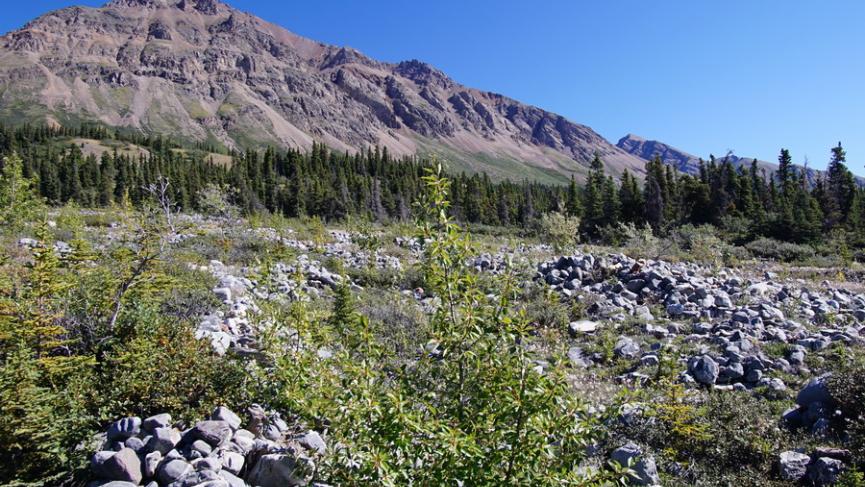 DSC06890 - carré.JPG